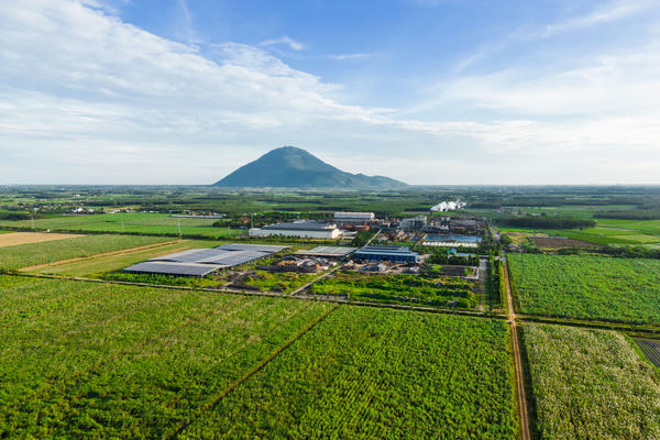 Xử phạt Công ty cổ phần Thành Thành Công – Biên Hòa do công bố thông tin sai lệch