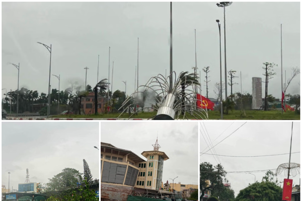 Thống kê thiệt hại ban đầu do Bão số 1 gây ra, may mắn không có thiệt hai về người Thống kê thiệt hại ban đầu do Bão số 1 gây ra, may mắn không có thiệt hai về người
