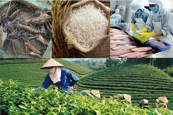Nông lâm thủy sản tiếp tục giữ vững vai trò điểm tựa cho nền kinh tế