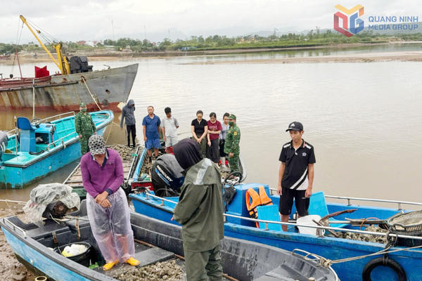 Bắt 9 người cắt trộm hàu trên bè trôi dạt sau bão số 1 tại Quảng Ninh