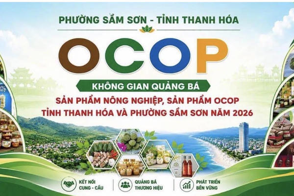Sầm Sơn ra mắt không gian quảng bá sản phẩm OCOP năm 2026