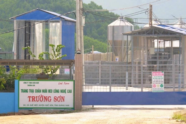 Đà Nẵng phạt doanh nghiệp chăn nuôi 625 triệu đồng, nhiều lần bị 'tuýt còi' vì vi phạm môi trường Đà Nẵng phạt doanh nghiệp chăn nuôi 625 triệu đồng, nhiều lần bị 'tuýt còi' vì vi phạm môi trường