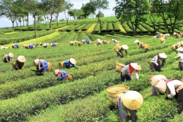 Ưu tiên giải quyết dứt điểm nhu cầu về điện, nước sinh hoạt và đất sản xuất cho người dân Ưu tiên giải quyết dứt điểm nhu cầu về điện, nước sinh hoạt và đất sản xuất cho người dân