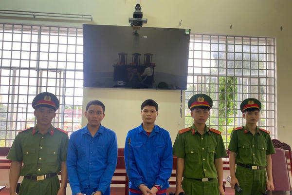 Lôi kéo người dưới 16 tuổi sử dụng ma túy, 2 bị cáo “chia nhau” gần 12 năm tù
Lôi kéo người dưới 16 tuổi sử dụng ma túy, 2 bị cáo “chia nhau” gần 12 năm tù