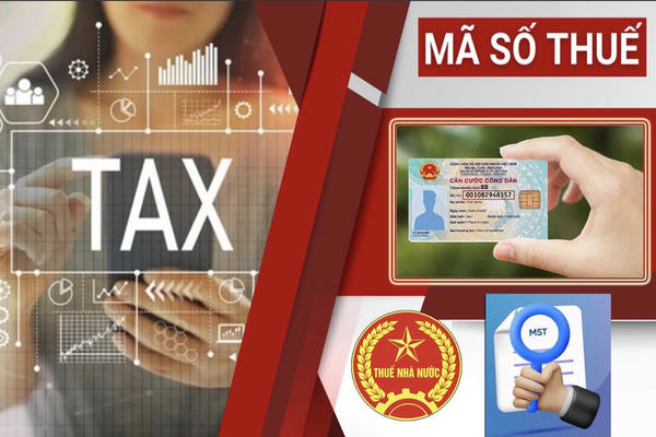 Làm sạch hơn 1,1 triệu mã số thuế tồn đọng, gỡ khó cho doanh nghiệp giải thể