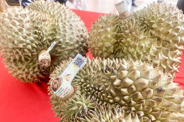 Triển khai hệ thống truy xuất nguồn gốc nông sản nhằm ngăn chặn gian lận, bảo đảm an toàn thực phẩm
Triển khai hệ thống truy xuất nguồn gốc nông sản nhằm ngăn chặn gian lận, bảo đảm an toàn thực phẩm