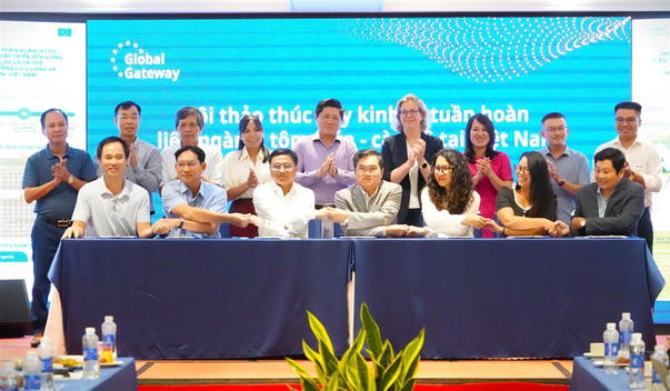 Cà Mau: Thúc đẩy kinh tế tuần hoàn liên ngành, tạo động lực cho ngành tôm, lúa và cà phê