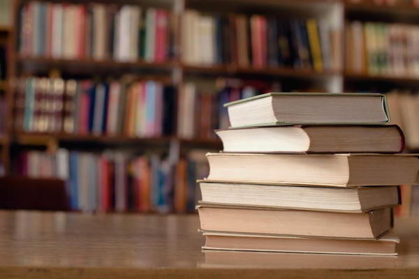 Cáo lỗi Cáo lỗi