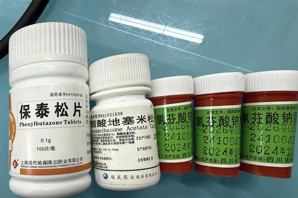 Suy thận nguy kịch sau khi dùng thuốc trị đau khớp mua trên mạng chứa Phenylbutazone Suy thận nguy kịch sau khi dùng thuốc trị đau khớp mua trên mạng chứa Phenylbutazone