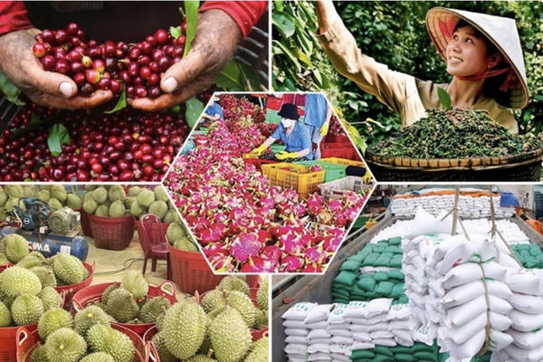 Quy định mới về thủ tục đánh giá, phân hạng sản phẩm OCOP từ cấp xã