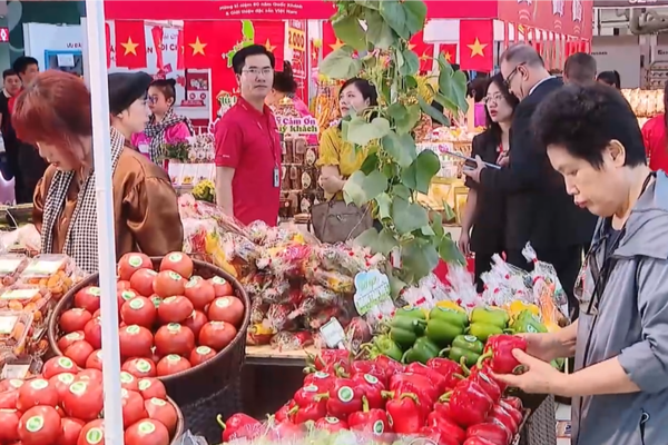 Bản tin tổng hợp 19/07: Triển khai Chương trình quốc gia về bảo vệ quyền lợi người tiêu dùng Bản tin tổng hợp 19/07: Triển khai Chương trình quốc gia về bảo vệ quyền lợi người tiêu dùng