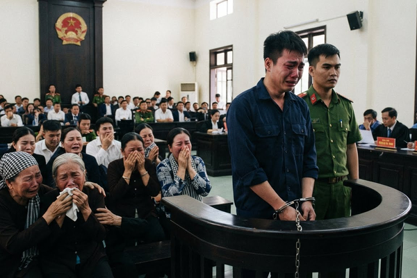Khi tình thân ra trước vành móng ngựa: Vụ tranh chấp bụi tre và bài học pháp luật đắt giá Khi tình thân ra trước vành móng ngựa: Vụ tranh chấp bụi tre và bài học pháp luật đắt giá