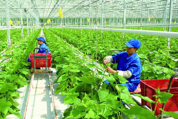 Đề xuất bỏ 40 điều kiện kinh doanh trong lĩnh vực nông nghiệp, môi trường: Doanh nghiệp được hưởng lợi gì? Đề xuất bỏ 40 điều kiện kinh doanh trong lĩnh vực nông nghiệp, môi trường: Doanh nghiệp được hưởng lợi gì?