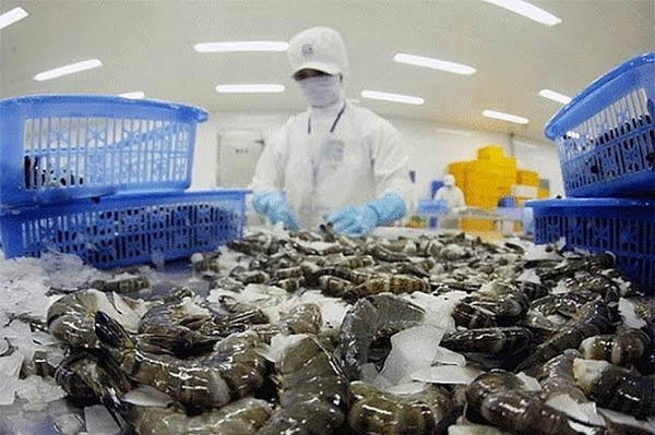 Trung Quốc tiếp tục là thị trường chủ lực trong xuất khẩu tôm Việt Nam Trung Quốc tiếp tục là thị trường chủ lực trong xuất khẩu tôm Việt Nam