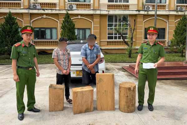 Lào Cai: Phát hiện xe ô tô vận chuyển gỗ pơ mu trái phép Lào Cai: Phát hiện xe ô tô vận chuyển gỗ pơ mu trái phép