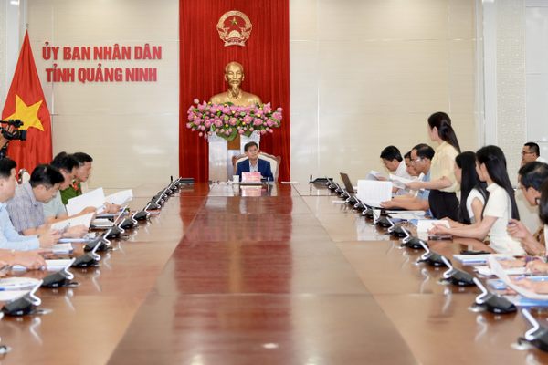 Quảng Ninh dự kiến đăng cai chuỗi hoạt động mở màn Miss World 2026