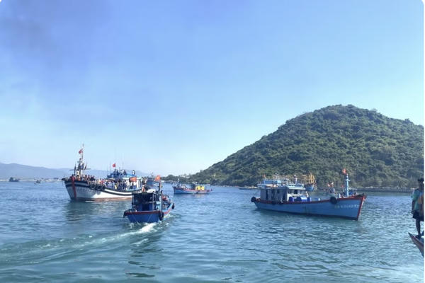 Gia Lai: Cấp mã số, gắn biển nhận diện để quản lý chặt tàu cá không đủ điều kiện