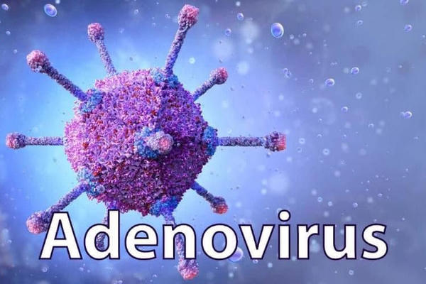 Hơn 2.700 ca mắc Adenovirus trong 6 tháng, ngành y tế khuyến cáo cách phòng bệnh