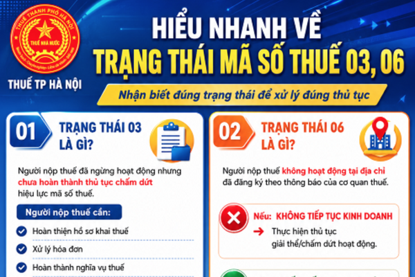 Trạng thái mã số thuế 03 và 06 là gì?