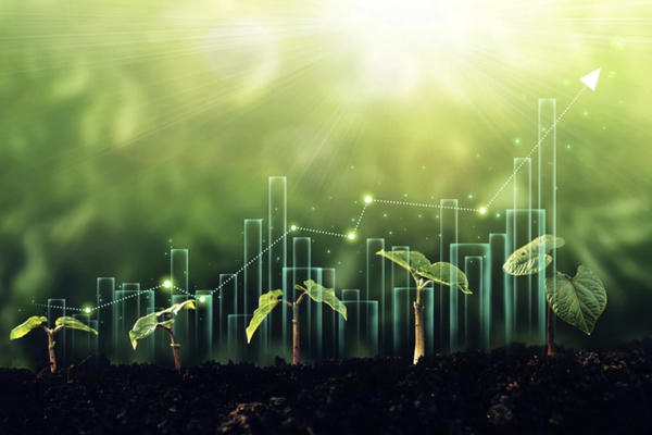 Việt Nam đặt mục tiêu kinh tế xanh chiếm khoảng 10% GDP vào năm 2030