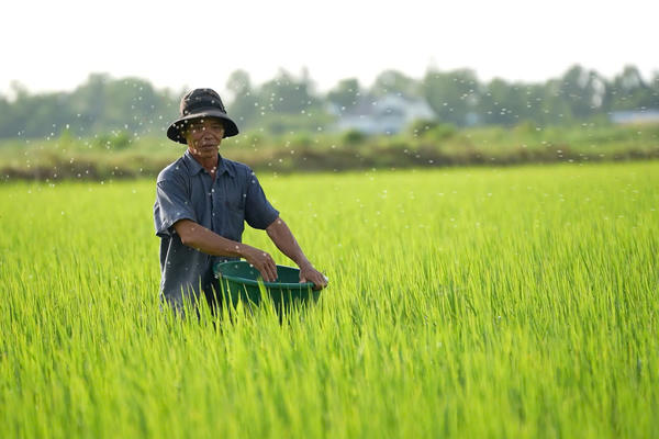 Hà Nội đặt mục tiêu huy động khoảng 2 triệu USD viện trợ phi chính phủ nước ngoài mỗi năm Hà Nội đặt mục tiêu huy động khoảng 2 triệu USD viện trợ phi chính phủ nước ngoài mỗi năm
