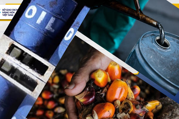 Giá dầu lao dốc, giá ca cao tăng vọt hơn 10%