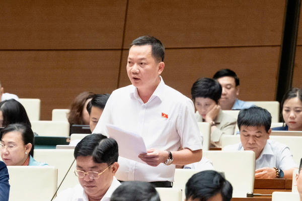 Đề xuất đưa kinh doanh kim cương vào ngành, nghề đầu tư kinh doanh có điều kiện