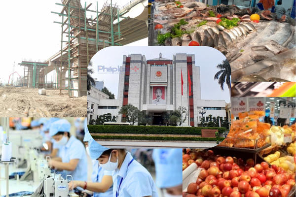 Tình hình kinh tế - xã hội của Hà Nội tháng 7/2026 tiếp tục xu hướng tích cực