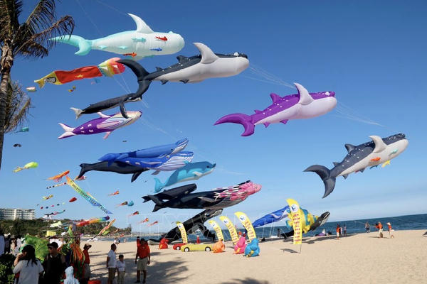 Thanh Hóa xem xét tổ chức Festival Diều Sầm Sơn năm 2026
