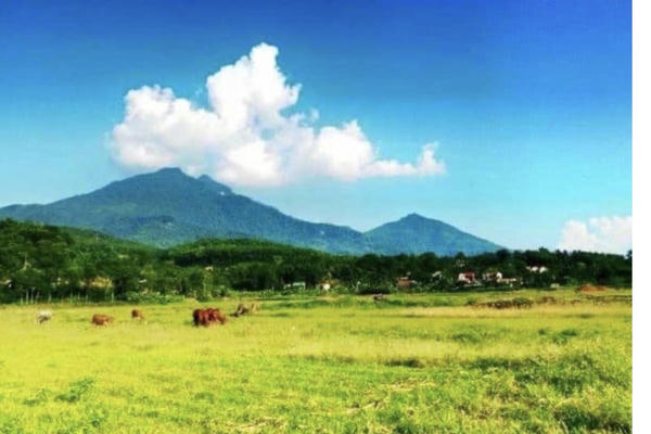 Hà Nội quyết liệt xử lý tồn tại, bàn giao hơn 4.000ha đất nông, lâm trường Hà Nội quyết liệt xử lý tồn tại, bàn giao hơn 4.000ha đất nông, lâm trường