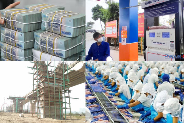 Tiêu chí phân loại doanh nghiệp để thực hiện cơ cấu lại vốn nhà nước tại doanh nghiệp Tiêu chí phân loại doanh nghiệp để thực hiện cơ cấu lại vốn nhà nước tại doanh nghiệp