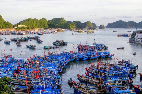 Đề xuất tháo gỡ vướng mắc về Giấy Chứng nhận ATTP tại các cảng cá công lập Đề xuất tháo gỡ vướng mắc về Giấy Chứng nhận ATTP tại các cảng cá công lập