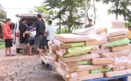Tiêu huỷ gần 1,3 tấn chân gà đông lạnh không nguồn gốc ở Hải Phòng 