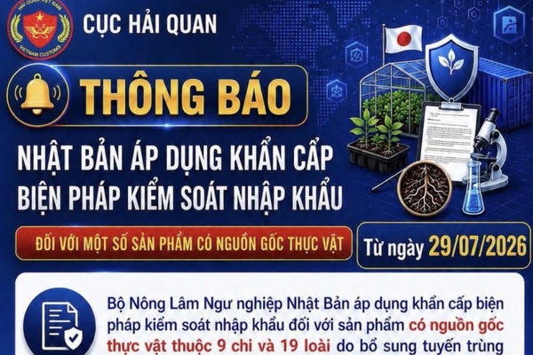 Hải quan cảnh báo khi Nhật Bản khẩn cấp kiểm soát nhập khẩu đối với sản phẩm có nguồn gốc thực vật