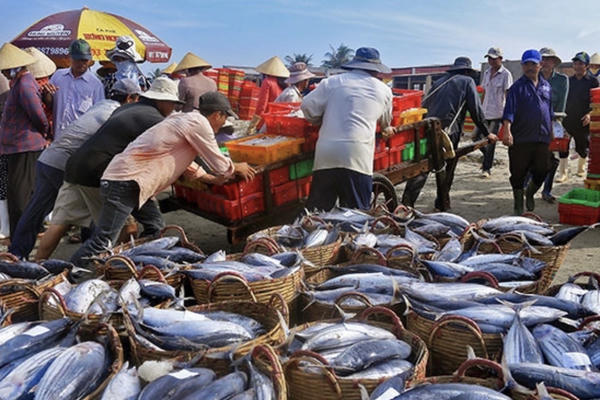 Quy định mới về chứng nhận nguồn gốc và xuất khẩu thủy sản