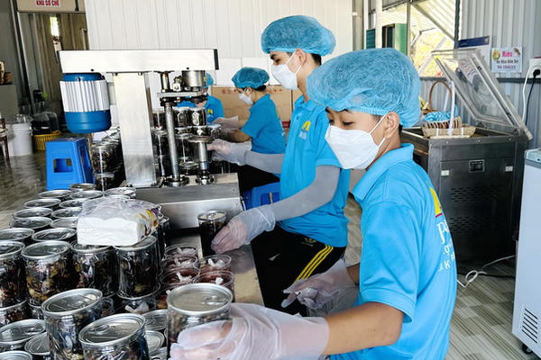 Cà Mau cần hơn 11.700 lao động, khát nhân lực chất lượng cao Cà Mau cần hơn 11.700 lao động, khát nhân lực chất lượng cao
