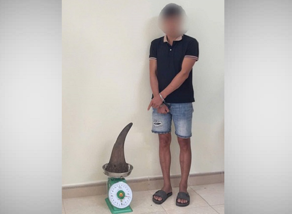 Cao Bằng: Khởi tố, bắt giam đối tượng vận chuyển 3,64 kg sừng tê giác Cao Bằng: Khởi tố, bắt giam đối tượng vận chuyển 3,64 kg sừng tê giác