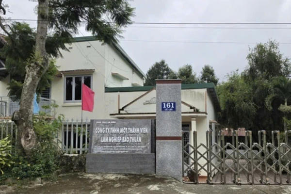 Thanh tra Lâm Đồng chỉ rõ sai phạm tại Công ty Lâm nghiệp Bảo Thuận Thanh tra Lâm Đồng chỉ rõ sai phạm tại Công ty Lâm nghiệp Bảo Thuận