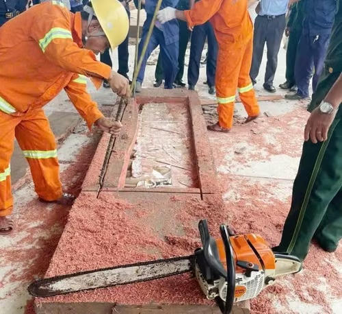 Bắt giữ 1,2 tấn ngà voi nguỵ trang tinh vi trong container gỗ