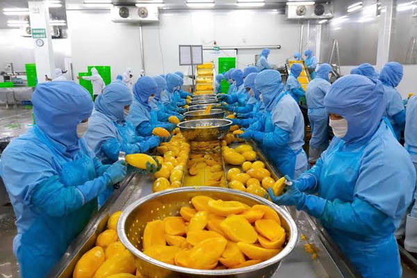 Rau quả Thực phẩm An Giang (ANT) dự kiến huy động 200 tỷ đồng từ chào bán cổ phiếu