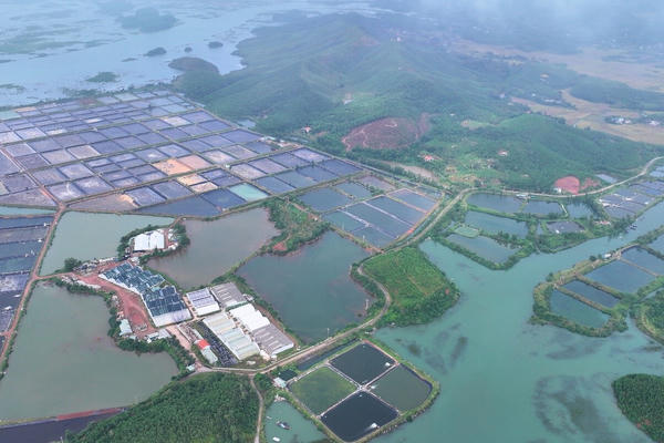 Quảng Ninh đề xuất bổ sung 8 dự án điện mặt trời, công suất gần 2.400MW Quảng Ninh đề xuất bổ sung 8 dự án điện mặt trời, công suất gần 2.400MW