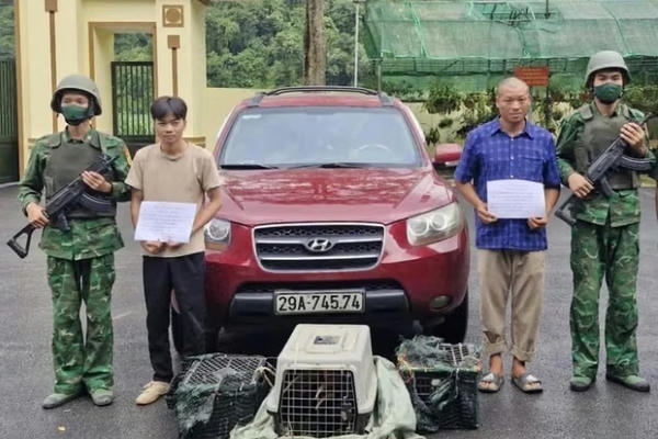 Bắt đối tượng vận chuyển động vật hoang dã qua biên giới để lấy công 3 triệu đồng