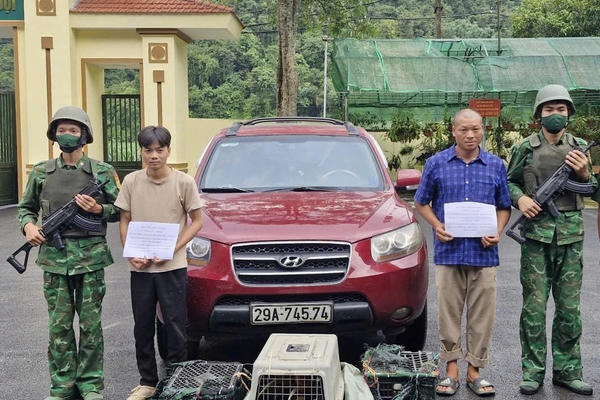 Phát hiện, bắt giữ 2 đối tượng vận chuyển động vật hoang dã qua biên giới Phát hiện, bắt giữ 2 đối tượng vận chuyển động vật hoang dã qua biên giới