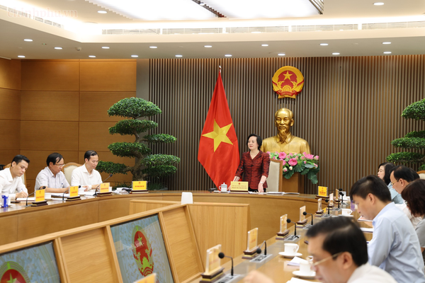 Thúc đẩy hệ sinh thái 'kinh tế bạc', bảo vệ người cao tuổi trên không gian mạng