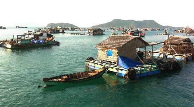 Từ 18/8/2026, nhiều hành vi vi phạm thủy sản bị xử phạt