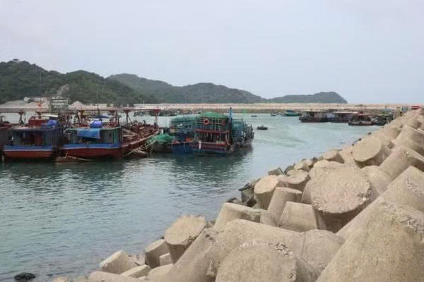 Quảng Ninh tạm ngừng cấp phép tàu hoạt động trên biển từ 7 giờ ngày 22/8