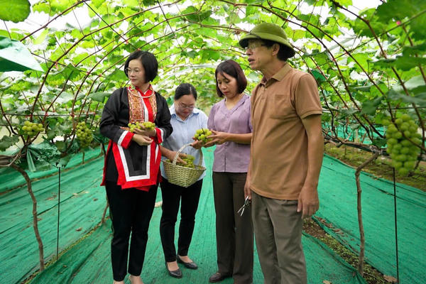 Gieo mùa no ấm nơi biên cương