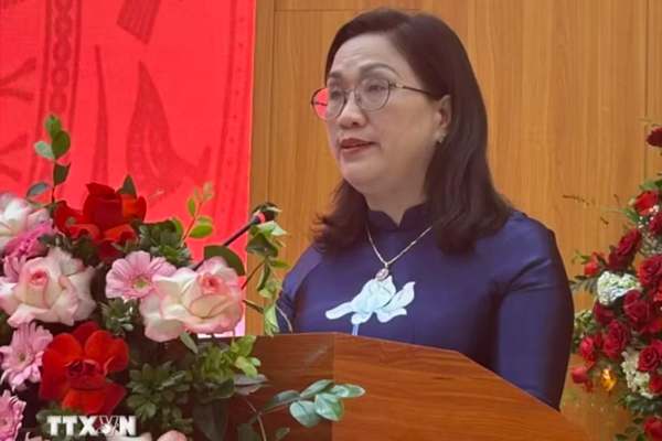 Bà Đinh Thị Mai được điều động giữ chức Phó Chủ tịch Viện Hàn lâm Khoa học xã hội Việt Nam
