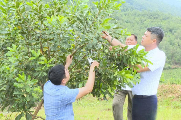 Bộ NN&MT đề xuất 18 lĩnh vực cán bộ không được lập doanh nghiệp khi thôi chức Bộ NN&MT đề xuất 18 lĩnh vực cán bộ không được lập doanh nghiệp khi thôi chức