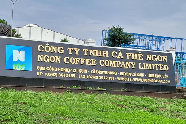 Ngon Coffee: Lãi ròng 900 tỷ đồng từ chiến lược gia công và tối ưu chính sách thuế Ngon Coffee: Lãi ròng 900 tỷ đồng từ chiến lược gia công và tối ưu chính sách thuế